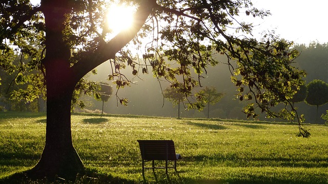 caring-grief-support-640x480-32822219.jpeg