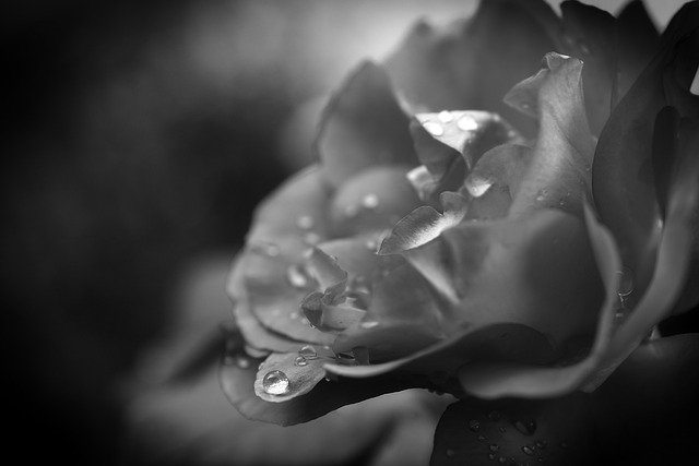 caring, grief, support 