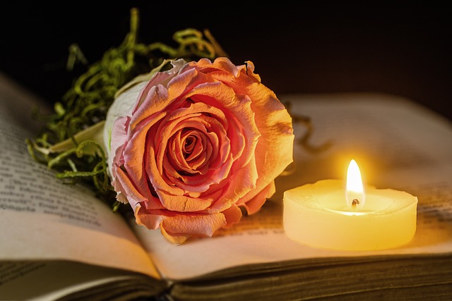 caring, grief, support 