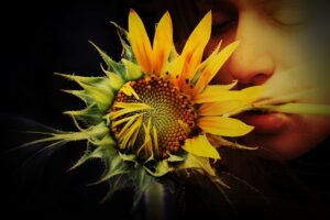 10 Key Insights on Funeral Planning Services in Wodonga