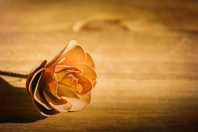 caring, grief, support 