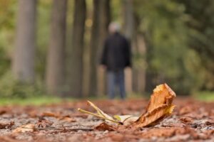 Securing Peace of Mind: The Definitive Guide to Pre-Paid Funeral Plans in Albury and Wodonga