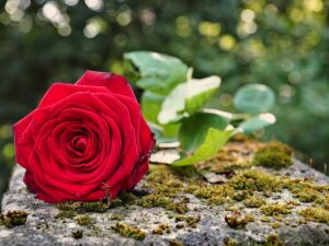 Personalizing Final Journeys: A Guide to Tailored Funerals in Wodonga