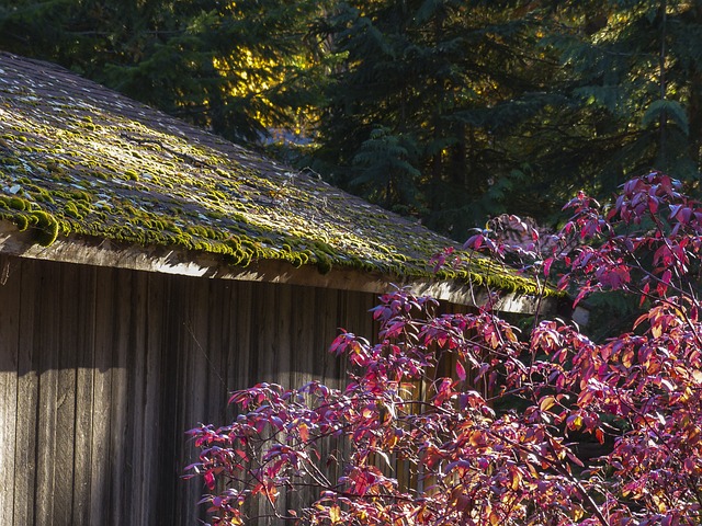 colorbond-sheds-640x480-32627422.jpeg