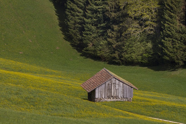 Colorbond Sheds