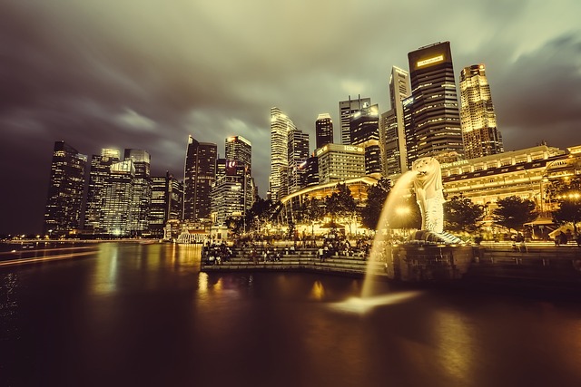 condominium | Singapore