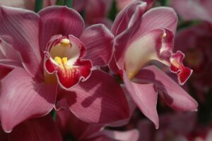 Seasonal Home Maintenance: A Year-Round Guide for Repair and Efficiency