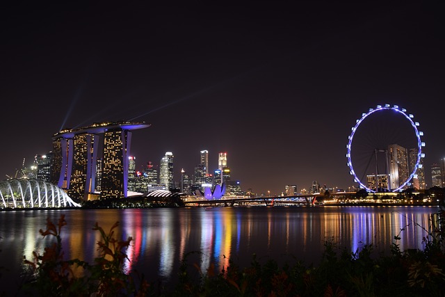 condominium | Singapore