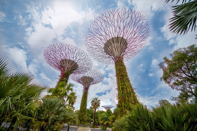 condominium | Singapore