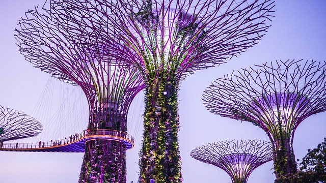 condominium-singapore-640x480-79367949.jpeg