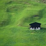 Secure and Save: Your Ultimate Guide to Effective House Sitting Solutions