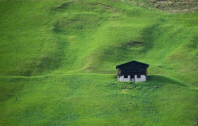 Secure and Save: Your Ultimate Guide to Effective House Sitting Solutions