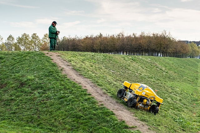 lawn-care-640x480-12077926.jpeg