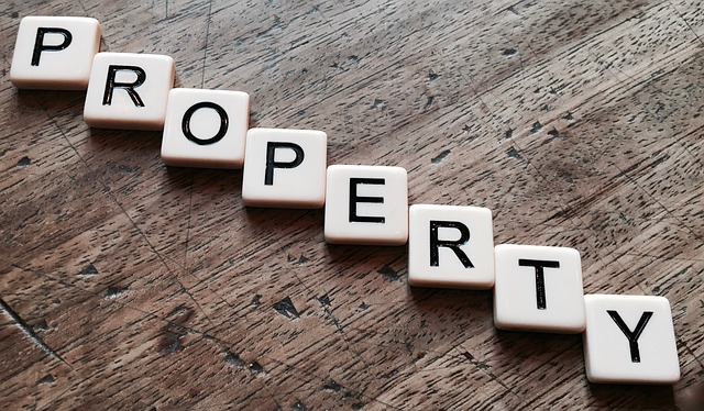 Rental Property 