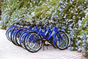 Maximizing Sale Price in Shepparton: Expert Tips with Professional Rental Management