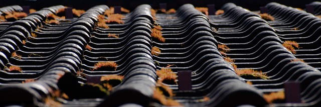 roof-roofer-640x480-96372520.jpeg
