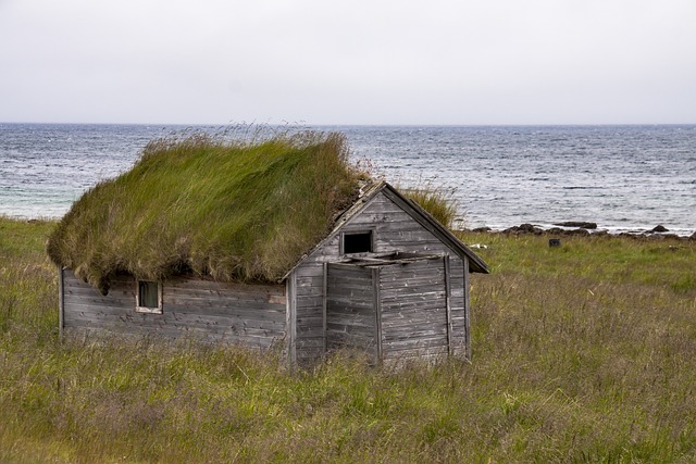 Shed Builder