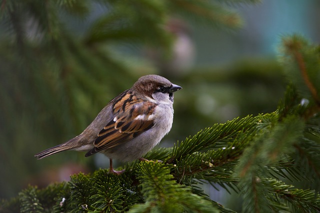airconditioning units, airconditioning in house, airconditioning mechanic