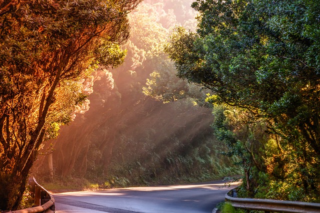 Australia made,  Caravan manufacturing, caravan travelling on the road