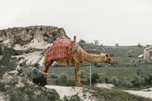Pioneers of Comfort: Top Australian Caravan Manufacturers