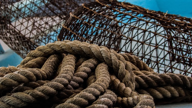 boat-rope-640x480-3339404.jpeg