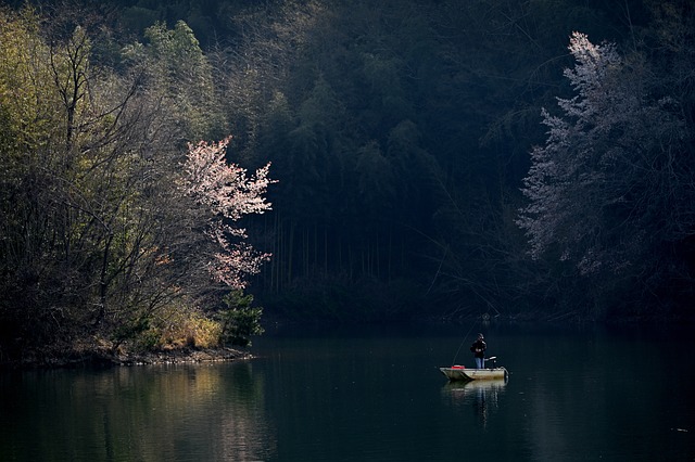 boat-rope-640x480-51185235.jpeg