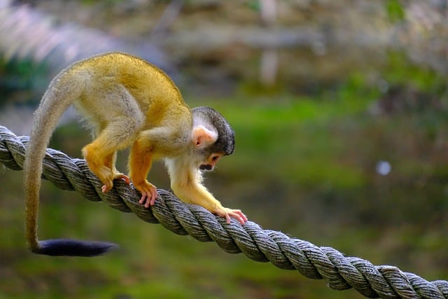 boat-rope-640x480-85720160.jpeg