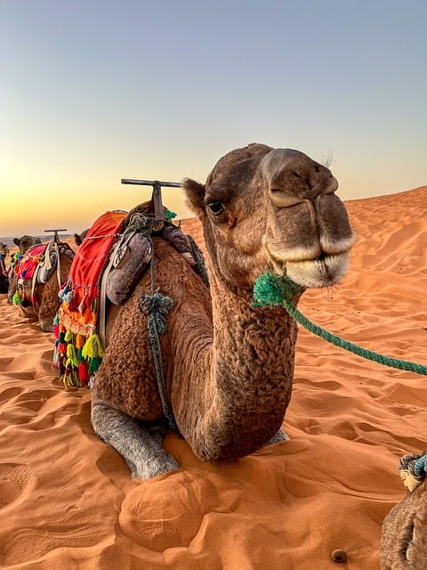 caravan accessories, Australian caravans, 