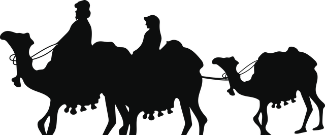 caravan accessories, Australian caravans,  caravan
