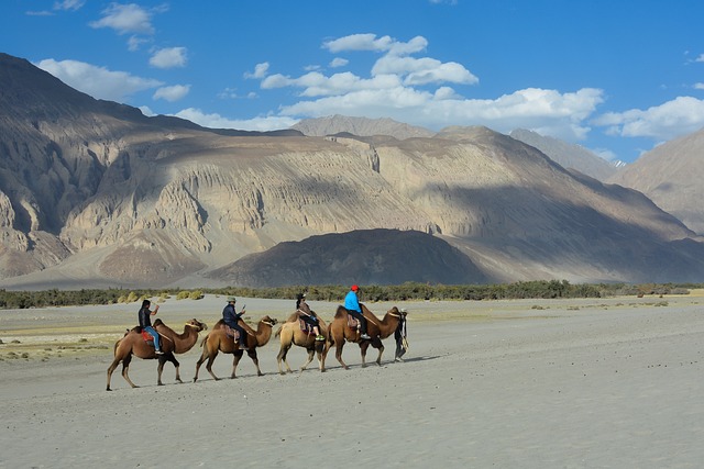 caravan-best-caravan-travel-locations-in-640x480-1344954.jpeg
