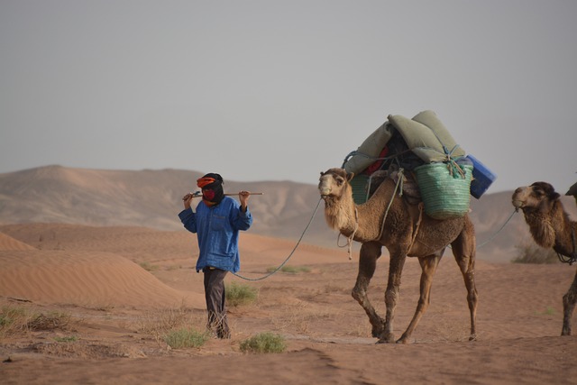 caravan-best-caravan-travel-locations-in-640x480-42956886.jpeg