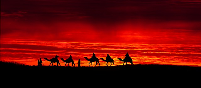 caravan manuafcturer, caravans australia