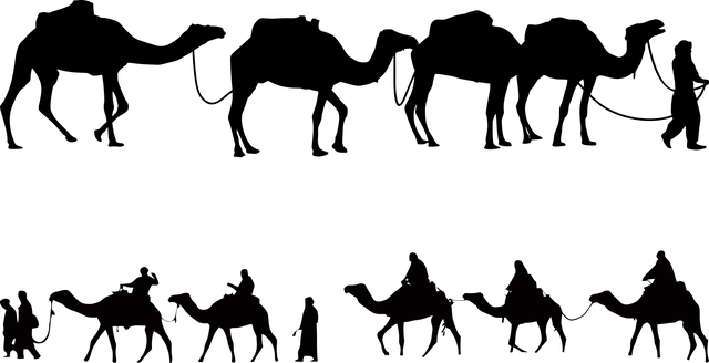 caravan-manufacturer-caravans-australia-640x480-43014635.png