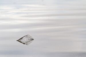 Eco-Friendly Cremation: Examining Impact and Innovative Solutions