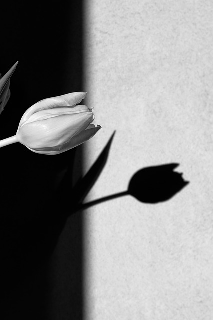 caring, grief, support 