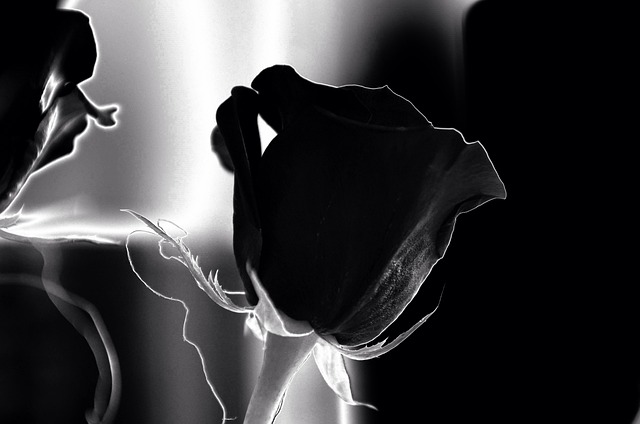 caring, grief, support 