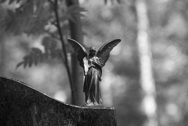caring, grief, support 