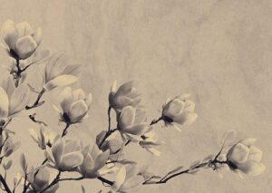 Compassionate Guide to Grief and Memorial Options with Funeral Support in Victoria
