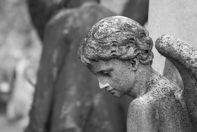 caring, grief, support 