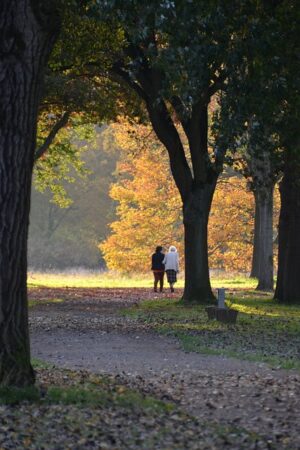 Eco-Friendly Farewells: Natural Burial Practices and Support in Australia