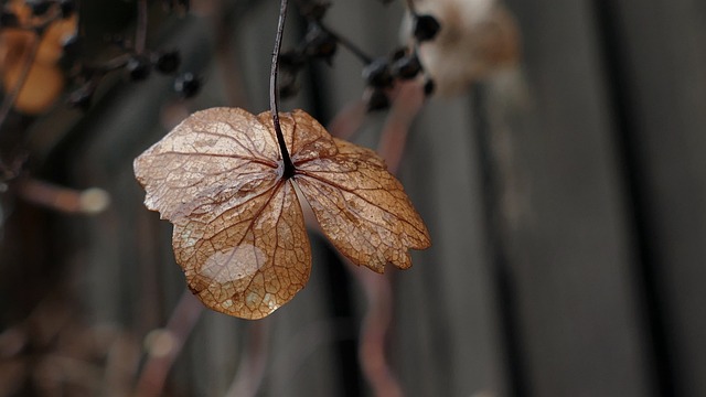 caring-grief-support-640x480-75373205.jpeg