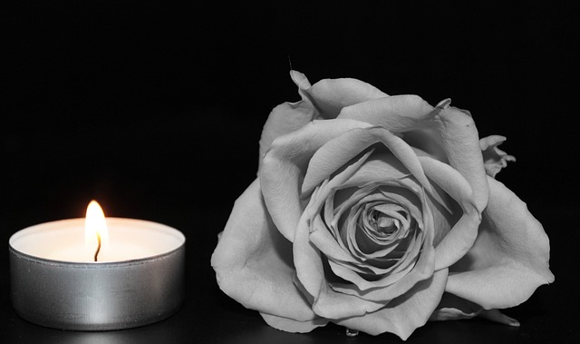 caring, grief, support 
