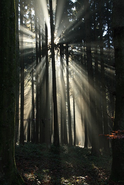 caring-grief-support-640x480-89519248.jpeg