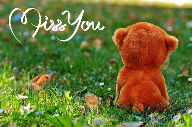 caring, grief, support 