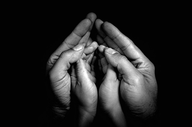 caring, grief, support 