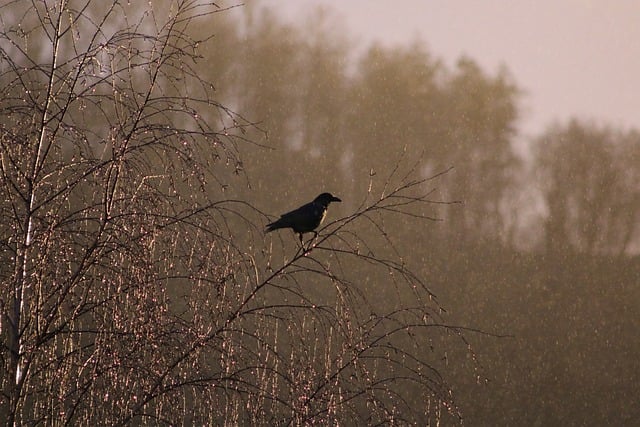 caring-grief-support-640x480-97994963.jpeg