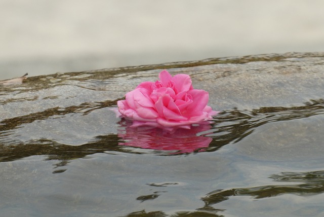 caring-grief-support-640x480-98410051.jpeg