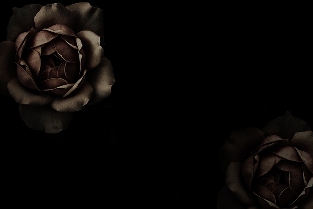 caring, grief, support, funeral