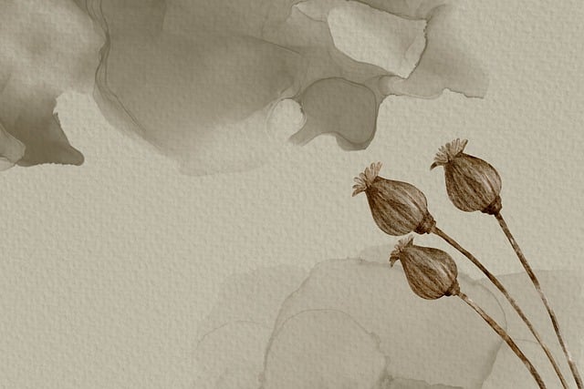 caring-grief-support-funeral-640x480-33397625.jpeg