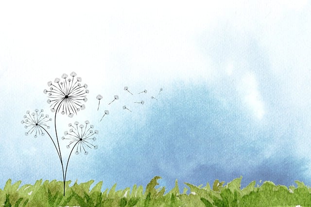 caring, grief, support, funeral